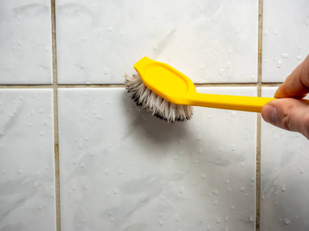 Best Attic Mold Removal  in Riverview Rk, PA
