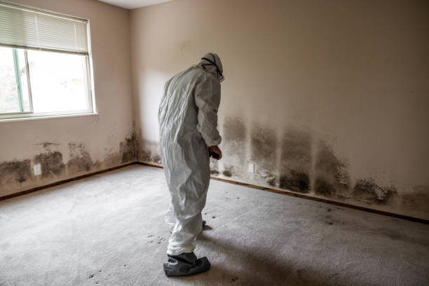 Best Residential Mold Removal  in Riverview Rk, PA